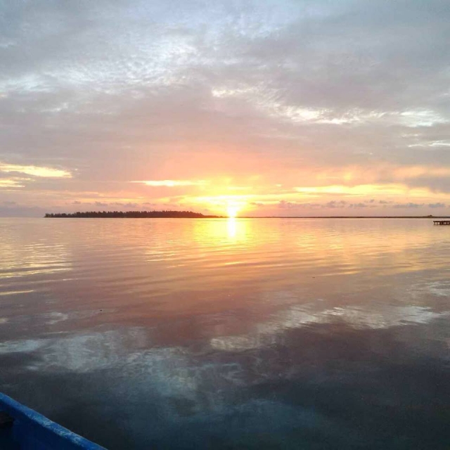 Contampla lo que te rodea